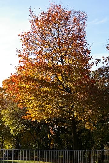 Tree Project - image 51