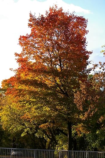 Tree Project - image 45
