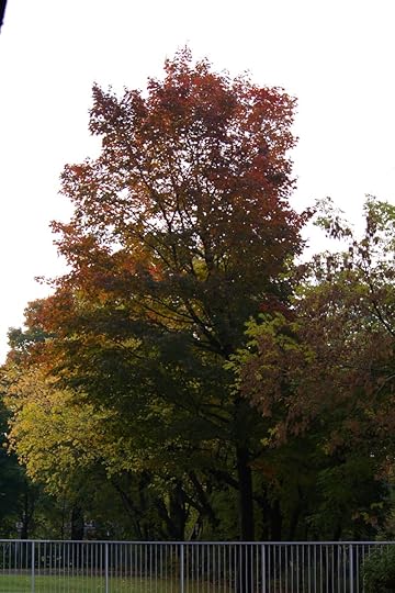 Tree Project - image 42
