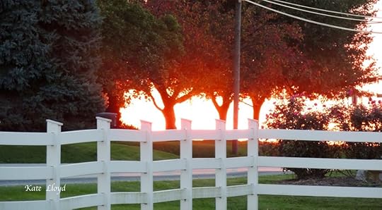 10-19-15FollowingSunset