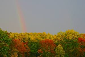 10934149_10208044582216651_8508294618826705064_o