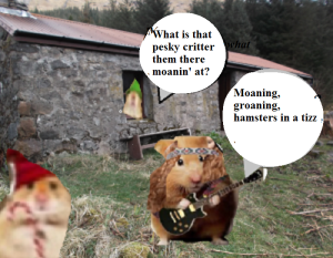 zmed-bbbbbbbubb290909