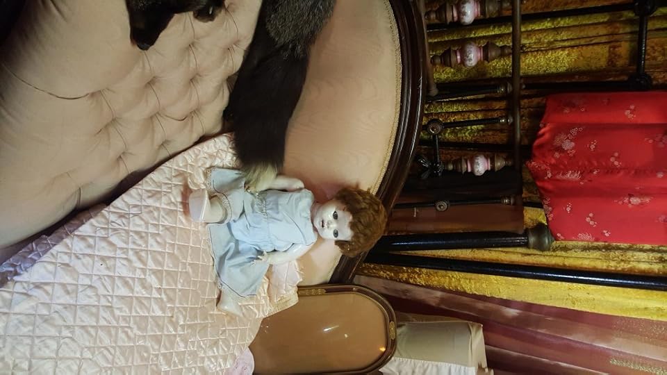 Antiques and Oddities Mt Tamborine14