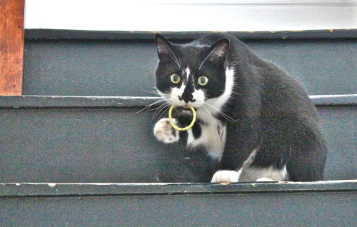 Jack on the stairs