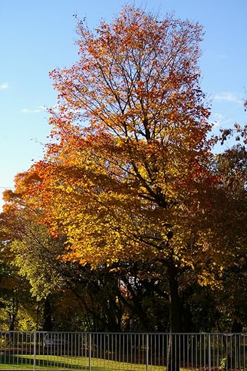 Tree Project - image 53