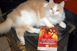 Persephone Claims Flammenzeit!