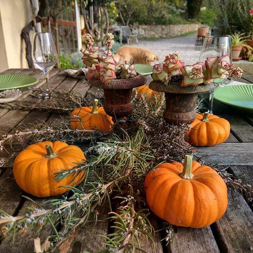 Pumpkins