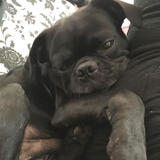 12145097_1680843335463298_1063473161_n