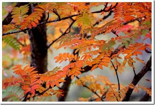 23 Oct 8 5184x3456-001