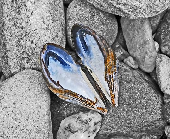 An Open Heart