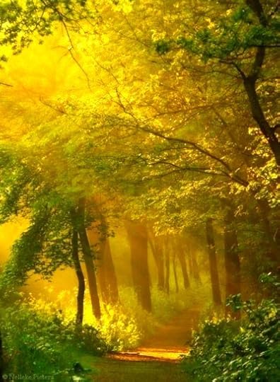 Yellow1