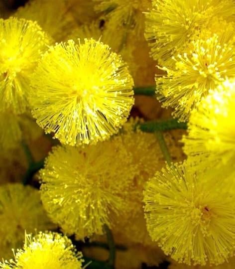 Yellow5