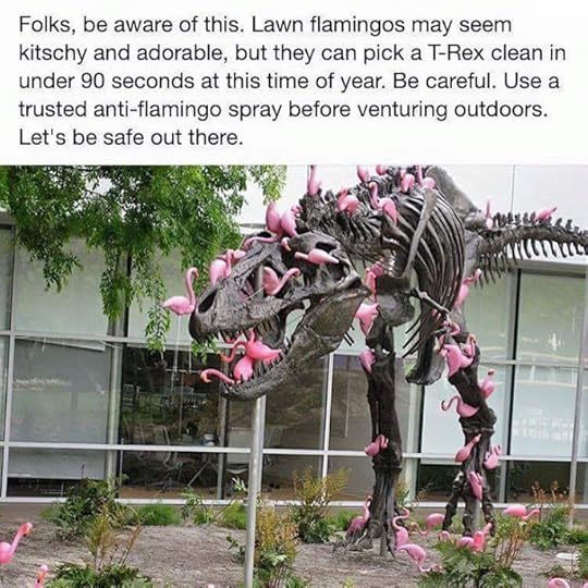 Flamingo_LawnFlamingos