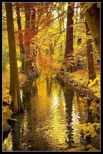 Golden Grace 9
