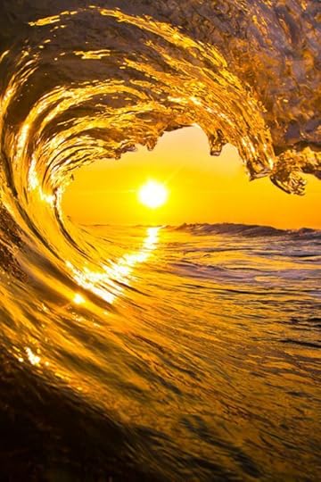 Golden Grace 5