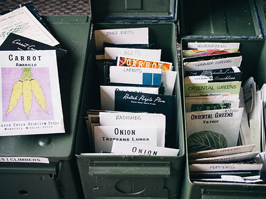 Seed packets