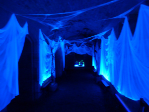 Woodchester Mansion