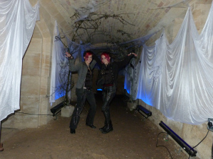 Woodchester Mansion