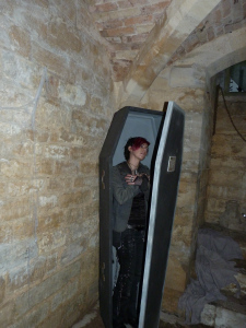 Woodchester Mansion