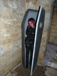 Woodchester Mansion