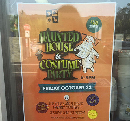 Halloween party for pets, costume party for pets