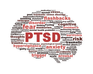 PTSD brain