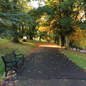 Sunlit Path