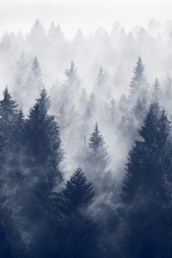 https://46ascending.files.wordpress.com/2015/10/cold-mountain.jpg?w=172&h=258