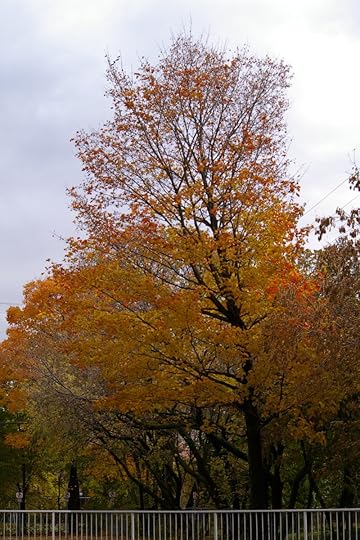 Tree Project - image 55