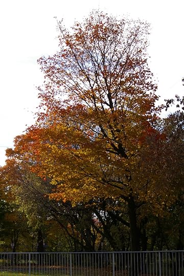 Tree Project - image 54