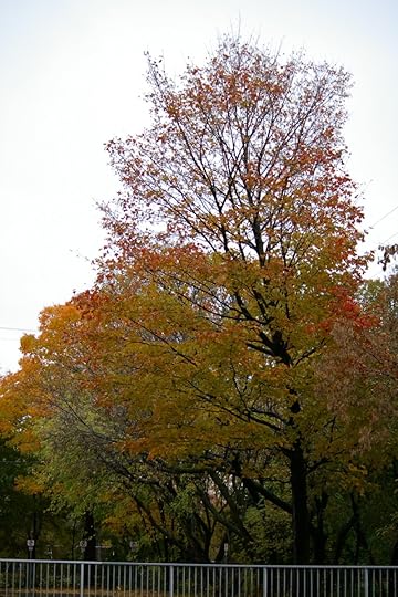 Tree Project - image 52