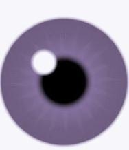 eye