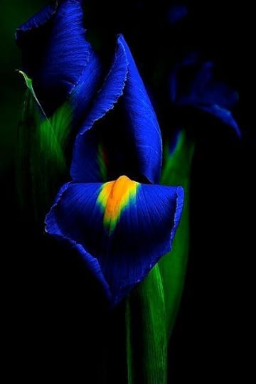 Blue8