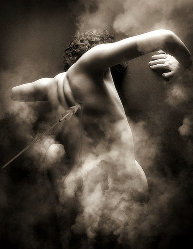 7398137022_4695612850