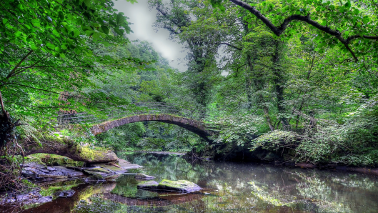 Bridge11
