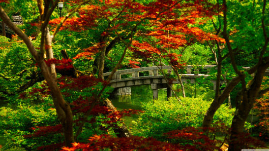 Bridge12
