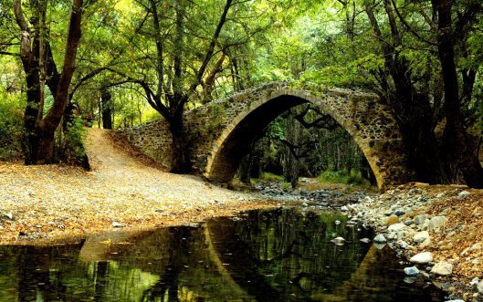 Bridge14
