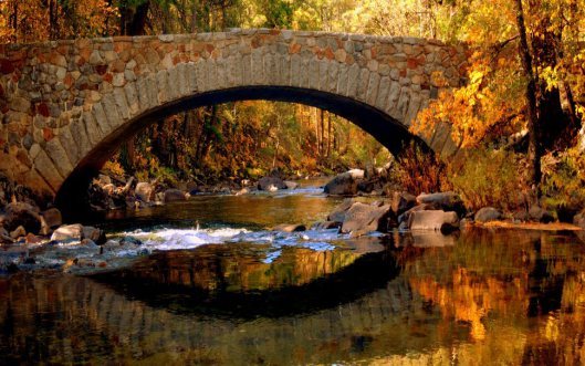 Bridge5