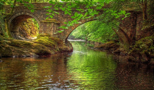 Bridge7