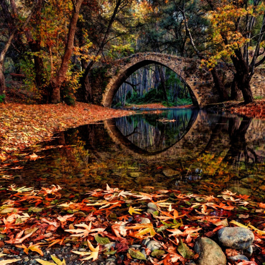 Bridge8