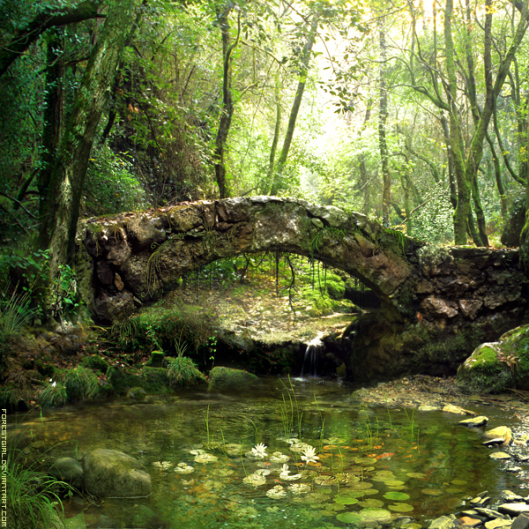 Bridge10