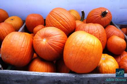 fallpumpkinslargesigned
