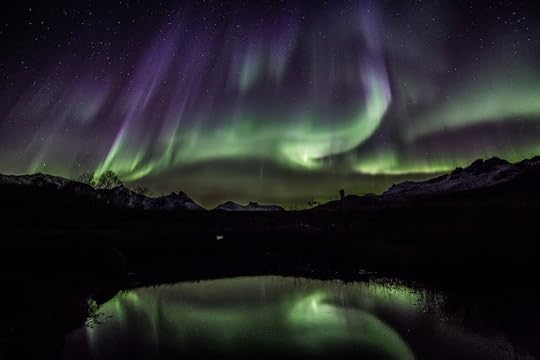 Incredible auroras from Stamnes, Sortland, Norway, Oct 2015. Photographer Benny Høynes