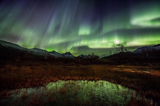 Incredible auroras from Stamnes, Sortland, Norway, Oct 2015. Photographer Benny Høynes