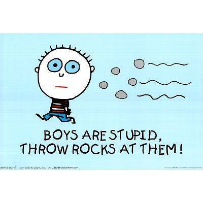 boys are stupid throw rocks