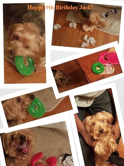 Jack 9 Birthday collage 2