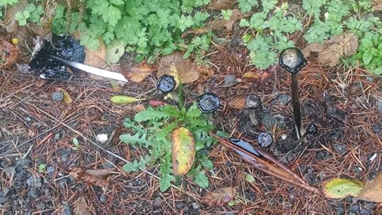 IMG_20151016_143217329[1]