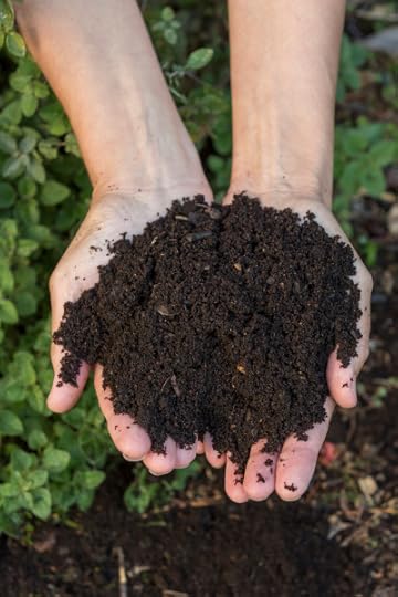 Homemade compost