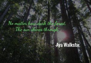 No matter how dark