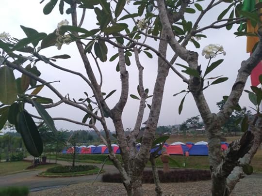 Suasana kemping acara Bloggercamp 2015